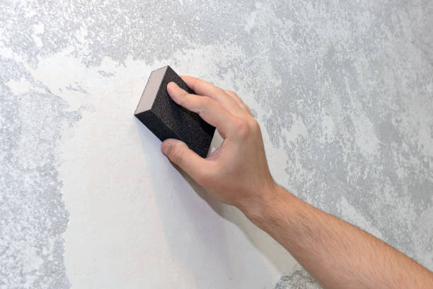Best Water Damage & Mold Remediation  in Wickenburg, AZ
