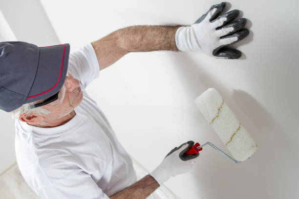 Best Asbestos and Lead Testing During Mold Inspection  in Wickenburg, AZ