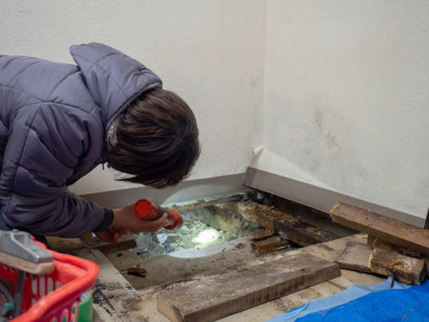 Best Crawl Space Mold Remediation  in Wickenburg, AZ