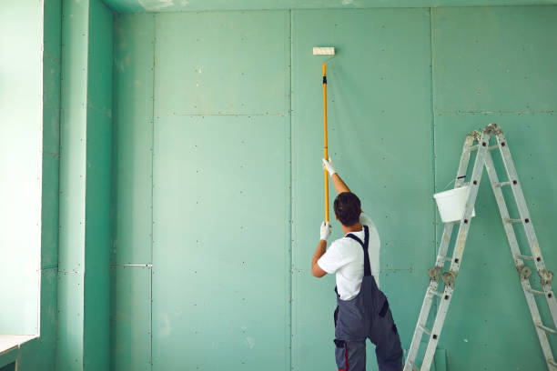 Best Residential Mold Inspection & Testing  in Wickenburg, AZ