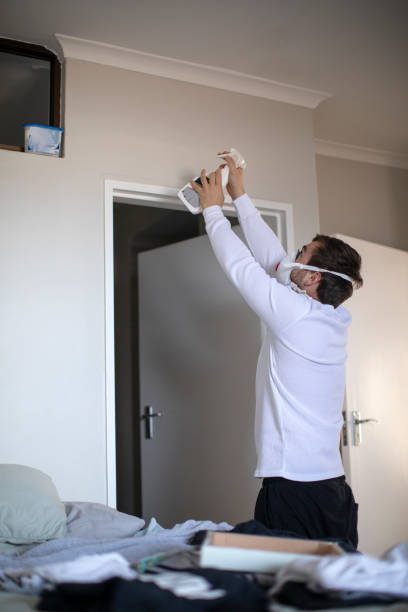  Wickenburg, AZ Mold Removal Pros