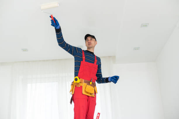 Mold Odor Removal Services in Wickenburg, AZ